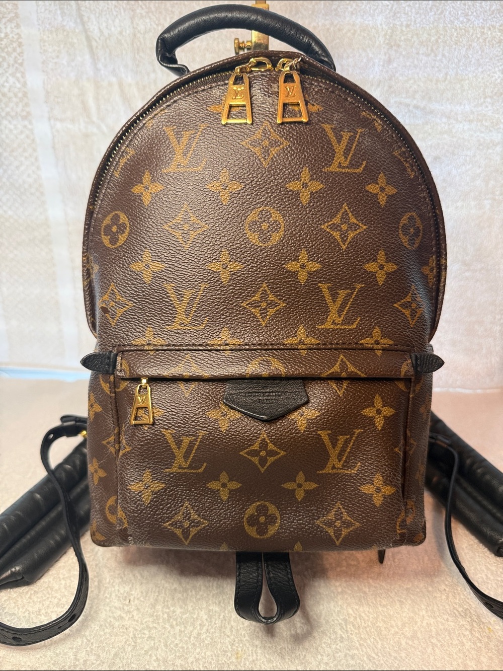 Louis Vuitton Palm Springs Monogram Mini Backpack with Gold Hardware